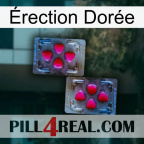 Érection Dorée 15